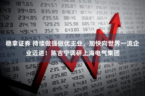稳拿证券 持续做强做优主业，加快向世界一流企业迈进！陈吉宁调研上海电气集团