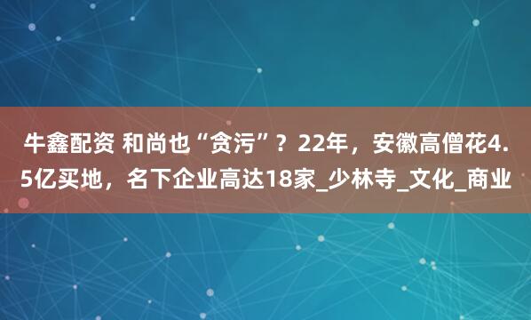 牛鑫配资 和尚也“贪污”？22年，安徽高僧花4.5亿买地，名下企业高达18家_少林寺_文化_商业