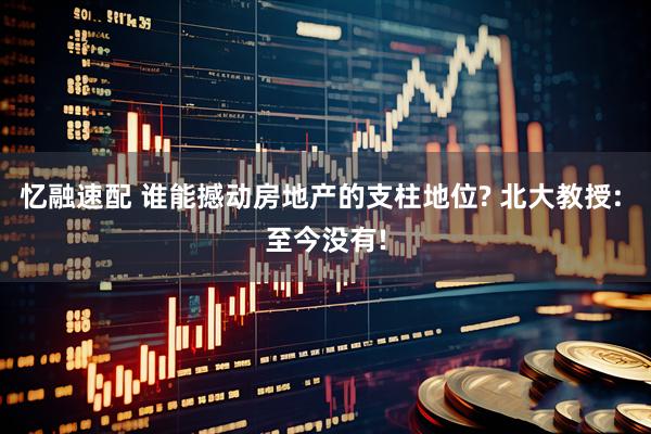 忆融速配 谁能撼动房地产的支柱地位? 北大教授: 至今没有!
