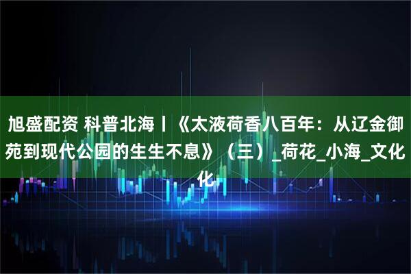 旭盛配资 科普北海丨《太液荷香八百年：从辽金御苑到现代公园的生生不息》（三）_荷花_小海_文化