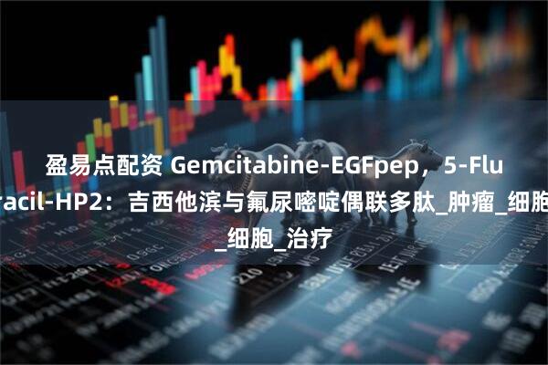 盈易点配资 Gemcitabine-EGFpep，5-Fluorouracil-HP2：吉西他滨与氟尿嘧啶偶联多肽_肿瘤_细胞_治疗