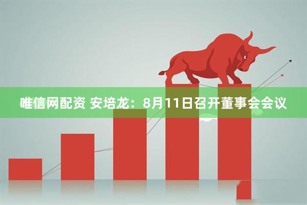 唯信网配资 安培龙：8月11日召开董事会会议